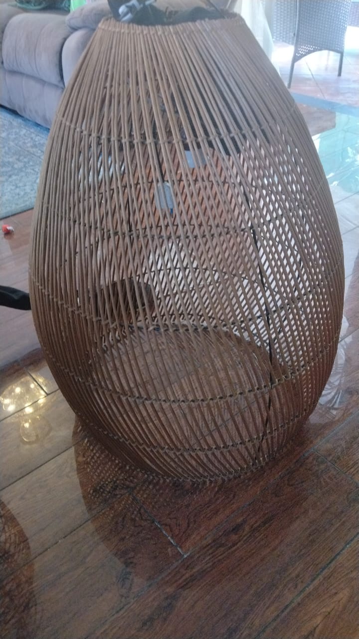 386750.jpg
